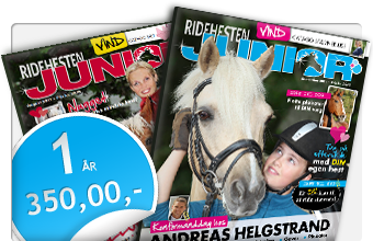 Ridehesten JUNIOR 