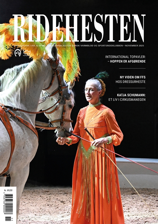 Ridehesten - November