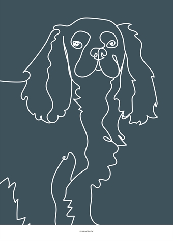 ”Cavalier King Charles Spaniel” A3