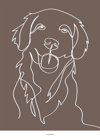 ”Golden retriever” A3 (30 x 42 cm) 