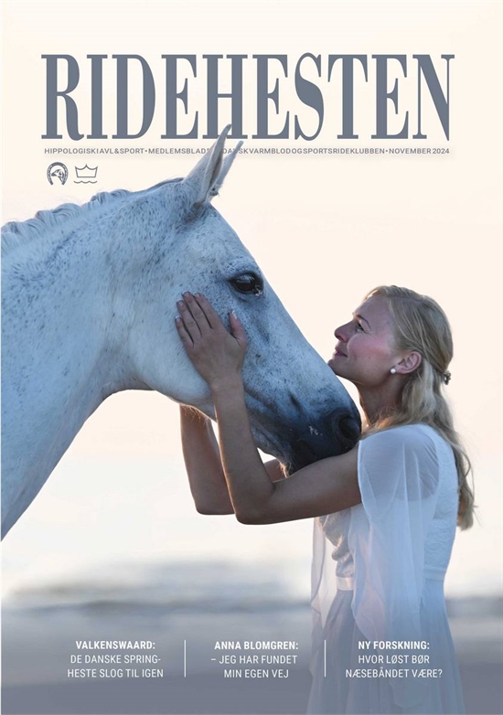 Ridehesten - November