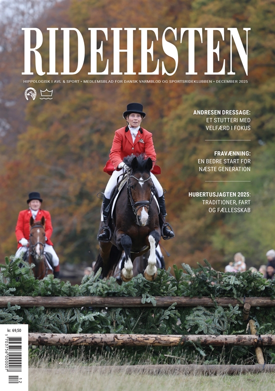 Ridehesten - December