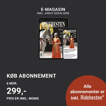 Ridehesten e-magasiner - halvt år
