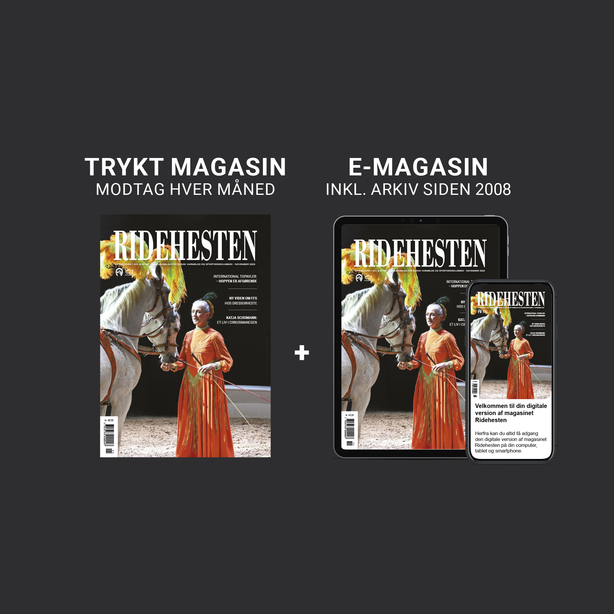 Ridehesten i Avl & Sport