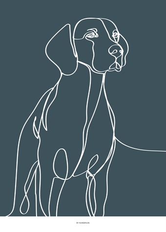 ”Vizsla” A3 (30 x 42 cm) 