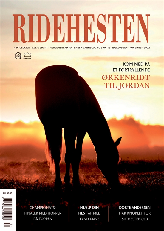 Ridehesten - November