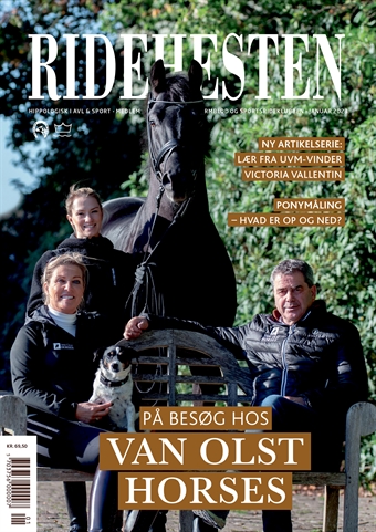 Ridehesten - Januar